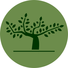 Olive Oil Trust